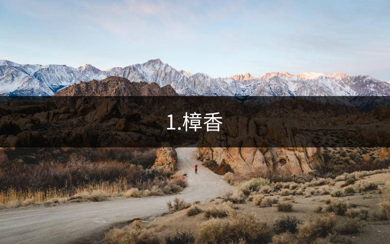 1.樟香 1.樟香