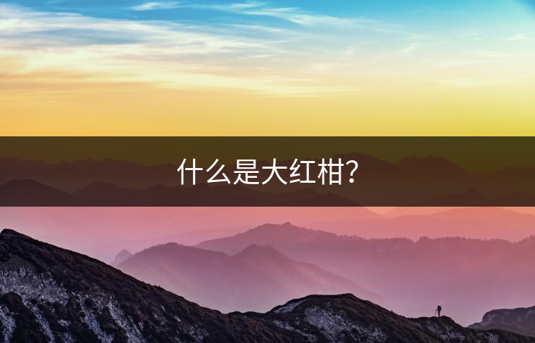 什么是大紅柑？