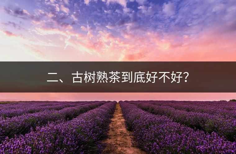 二、古樹(shù)熟茶到底好不好？