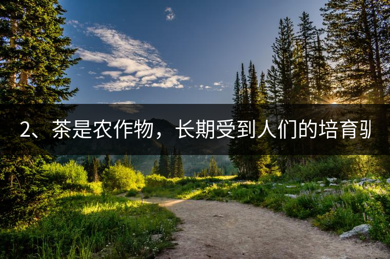 2、茶是農(nóng)作物，長期受到人們的培育馴化。