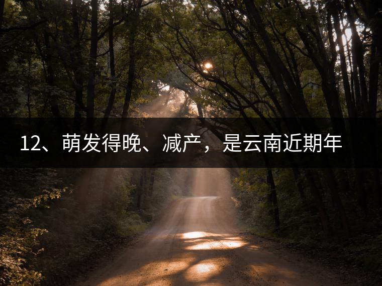 12、萌發(fā)得晚、減產(chǎn)，是云南近期年氣候變化在茶樹上的延遲反映。