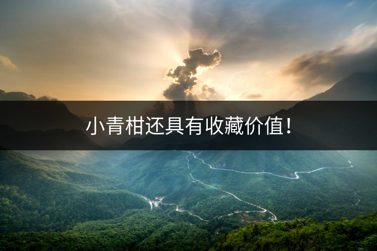 小青柑還具有收藏價(jià)值！