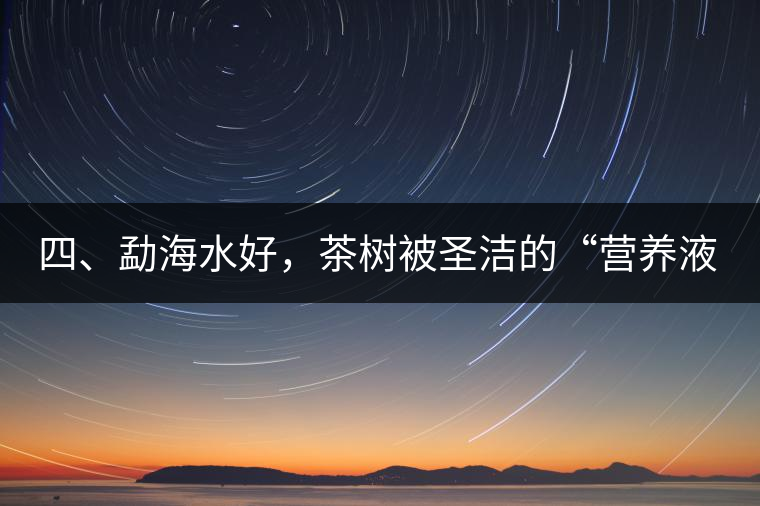 四、勐海水好，茶樹(shù)被圣潔的“營(yíng)養(yǎng)液”所滋養(yǎng)