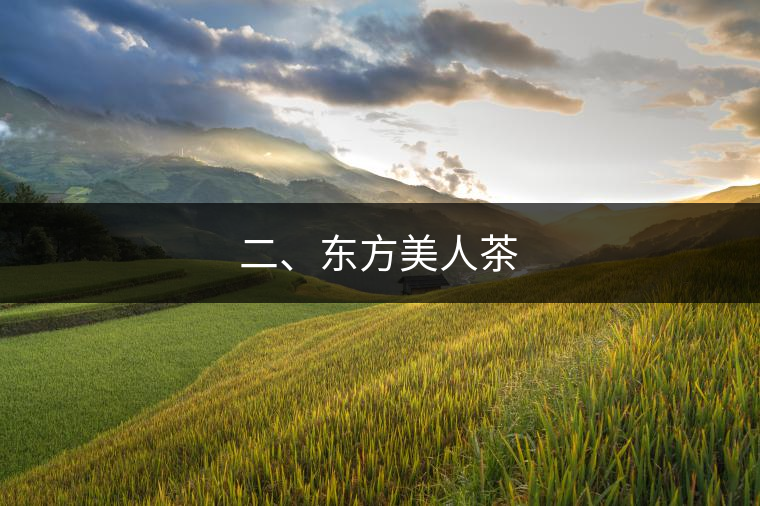 二、東方美人茶