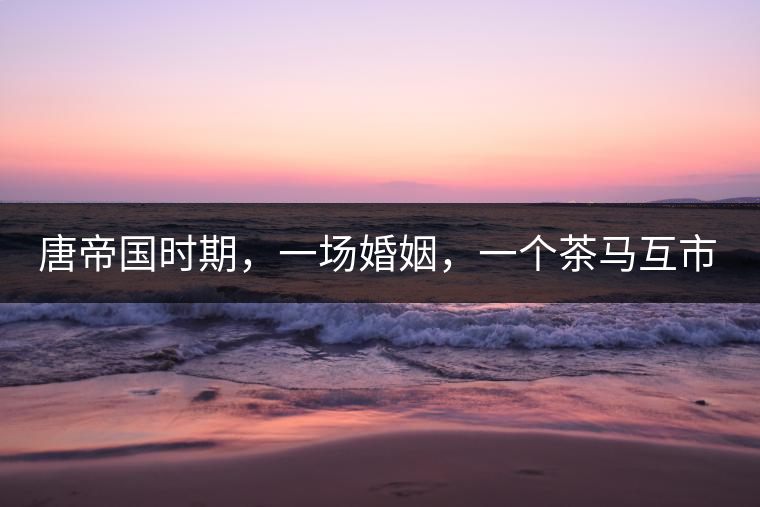 唐帝國時期，一場婚姻，一個茶馬互市，讓這里結(jié)束了漢藏對峙。宋代南茶北，西北茶馬司設(shè)立，因茶而改變的生活日益凸顯。元代八思巴與忽必烈在這一區(qū)域結(jié)盟，為蒙藏兩大民族交往鋪好通衢大道，明代俺答汗與達賴在山海之間追思各自先人，青海人宗喀巴創(chuàng)建的黃教通過蒙、藏兩大領(lǐng)袖的推廣，締造了影響至今的格局。大清經(jīng)過康、雍、乾三代勵精圖治，滿、藏、蒙各自龐大的疆域第一次完整地統(tǒng)轄在中央帝國的版圖下。