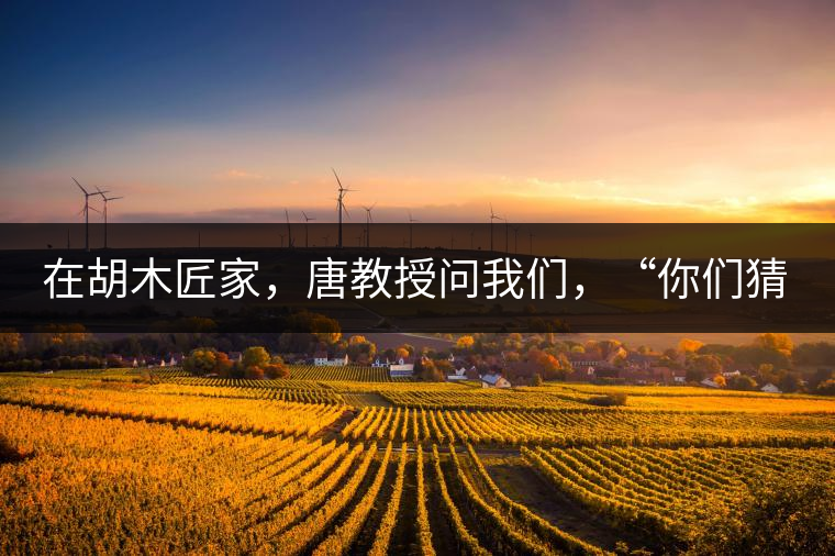 在胡木匠家，唐教授問我們，“你們猜猜他們家的茶放在哪里？”我們回答廚房、客廳都不對，“難道像寺院一樣，有專門的茶房不成？”教授和木匠都哈哈大笑，連連搖頭。在木匠的帶領(lǐng)下，我們來到主人的臥室，茶磚整齊有序地堆放在床頭柜里。一家之主的臥室，既是休息之所，亦是一家財富與傳家寶的收藏地。茶之精貴，毋需多言。