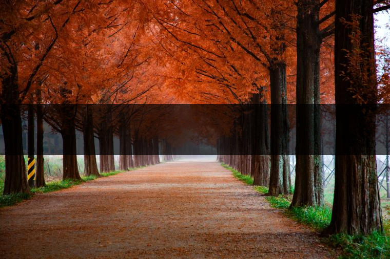 這樣的茶葉邊疆文化，也許是明代大學(xué)者解縉最樂意見到的。他曾說，中原最好的東西就是茶，而番人最好的就是馬。他贊同明廷茶馬互市的國策：茶之于夷人，如同中國之酒醴，因為茶馬貿(mào)易，許多夷人也開始學(xué)習(xí)中國的知識，對中國也有了向慕之心，那么茶的作用就很顯然，茶有著“夷夏之交，義利之辨，寅賓尚忠信而篤敬，河州固唐虞三代之邦也?！?茶不僅僅是一種飲品，還有其他。茶作為媒介，體現(xiàn)了觀念的變化。如今，隨著茶的傳播，各族人民有了更深入往來，通過貿(mào)易、文化、旅游等等。
陳渠珍從西藏抵達湟源區(qū)域時，也為這里的古風(fēng)所震驚：“余皆漢番雜處。風(fēng)俗婦女尚餞足，裙下蓮步不及三寸，服飾既古，文化尤卑，鄰居為私塾，當見一生久讀不能成誦，塾師罰之跪，以草圈罩頭上，頻加籌石，令其跪誦。余見駭然?！?
?
（摘自《海峽茶道》，2013年5期）