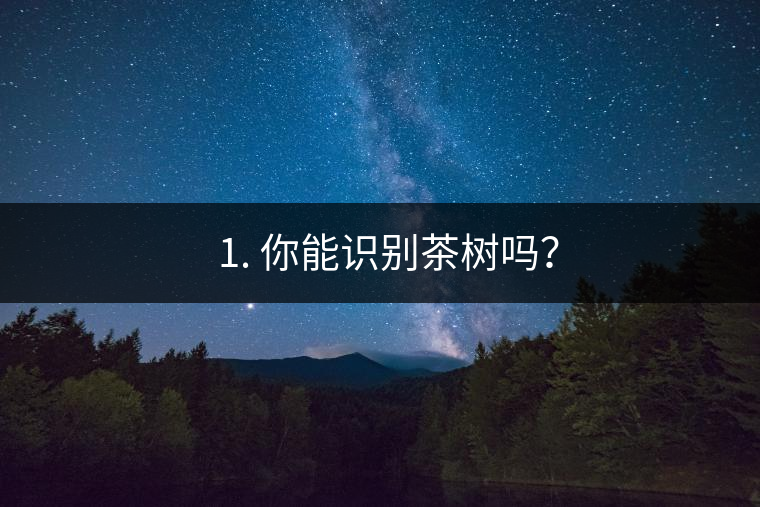 ??1. 你能識(shí)別茶樹(shù)嗎？