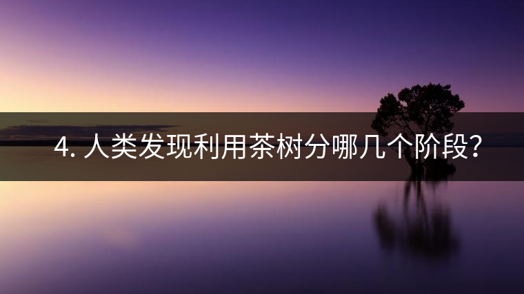? 4. 人類(lèi)發(fā)現(xiàn)利用茶樹(shù)分哪幾個(gè)階段？