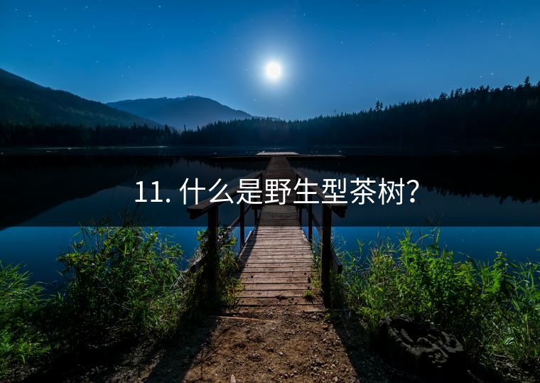 ? 11. 什么是野生型茶樹(shù)？