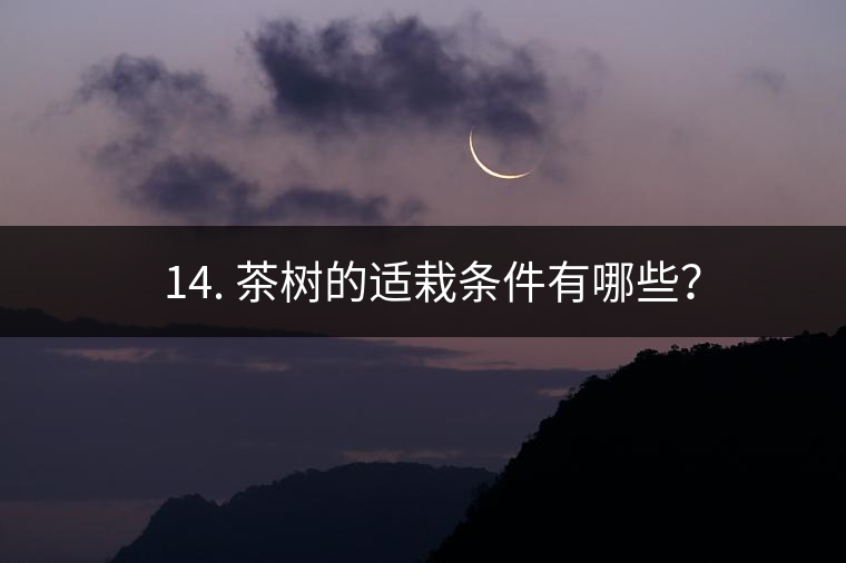 ? 14. 茶樹(shù)的適栽條件有哪些？
