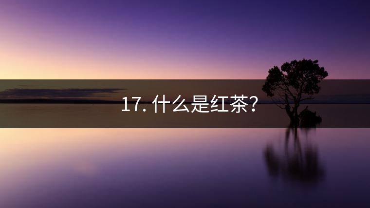 ? 17. 什么是紅茶？