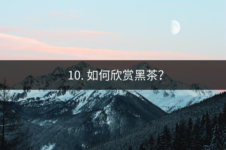 ? 10. 如何欣賞黑茶？