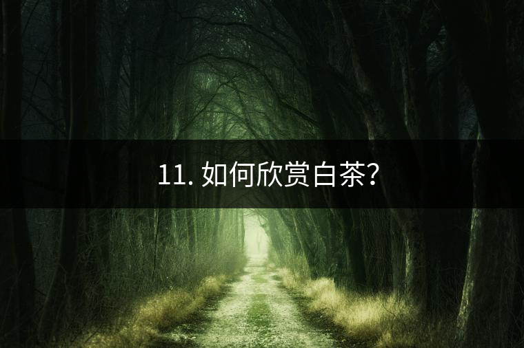 ??11. 如何欣賞白茶？