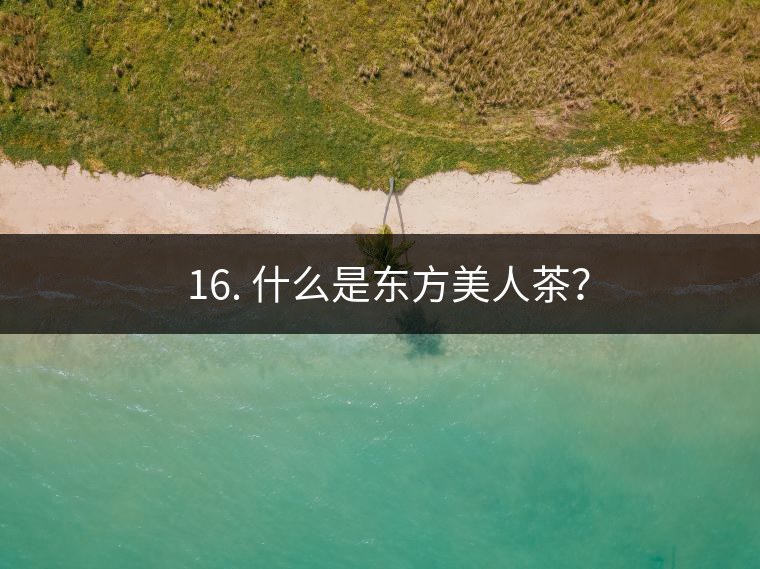 ? 16. 什么是東方美人茶？