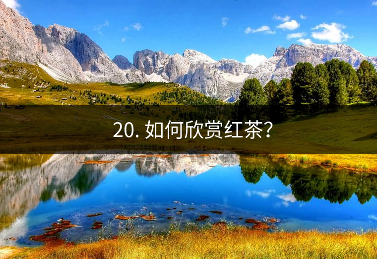 ? 20. 如何欣賞紅茶？
