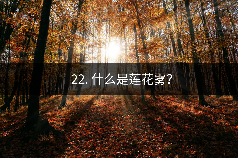 ? 22. 什么是蓮花霧？