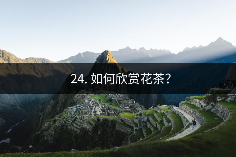 ? 24. 如何欣賞花茶？