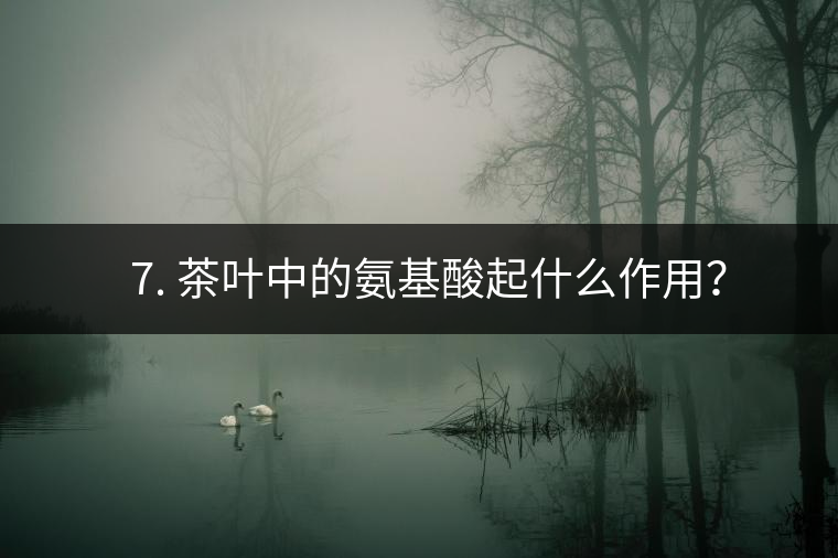 ? 7. 茶葉中的氨基酸起什么作用？