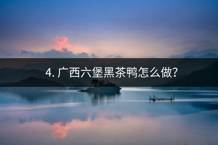 ? 4. 廣西六堡黑茶鴨怎么做？