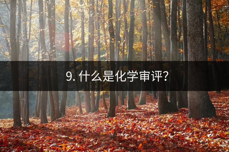 ? 9. 什么是化學(xué)審評(píng)？