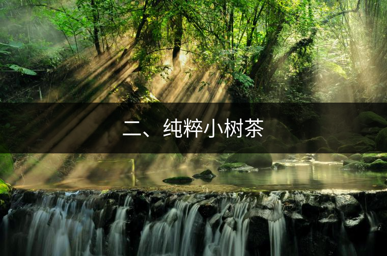 二、純粹小樹(shù)茶