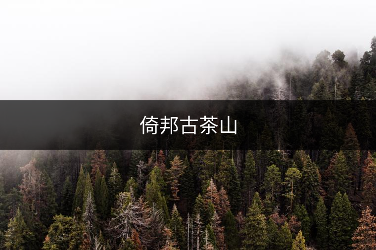 倚邦古茶山 倚邦古茶山