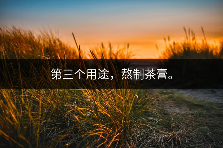 第三個用途，熬制茶膏。