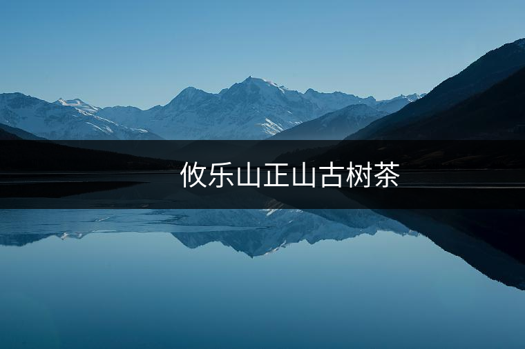 攸樂山正山古樹茶 攸樂山正山古樹茶