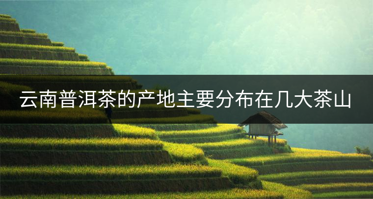 云南普洱茶的產(chǎn)地主要分布在幾大茶山，普洱茶古茶山以瀾滄江為界劃分為