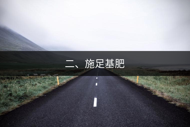 二、施足基肥