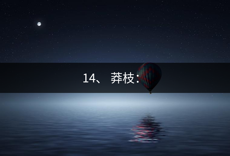14、 莽枝：?