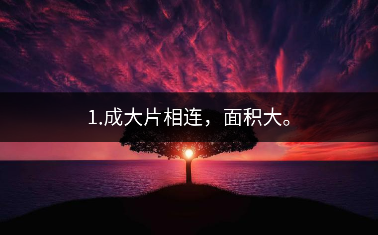 1.成大片相連，面積大。