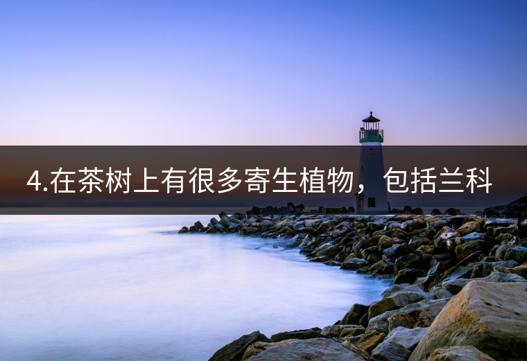 4.在茶樹(shù)上有很多寄生植物，包括蘭科植物，還有螃蟹腳。