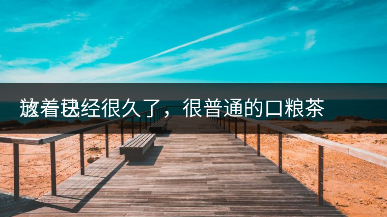 這一塊
放著已經(jīng)很久了，很普通的口糧茶，煙味很重，但回甘也可以，隨意喝喝吧。