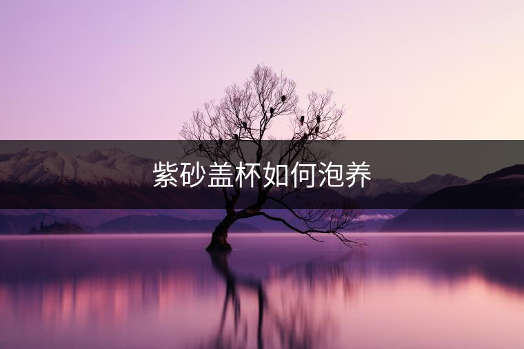 紫砂蓋杯如何泡養(yǎng)