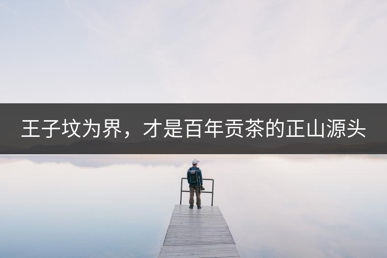 王子墳為界，才是百年貢茶的正山源頭