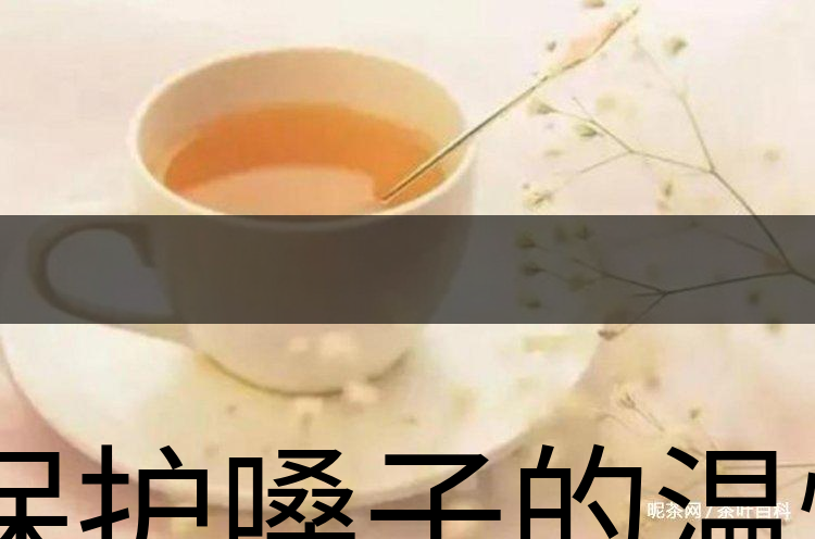 保護(hù)嗓子的溫性茶-2