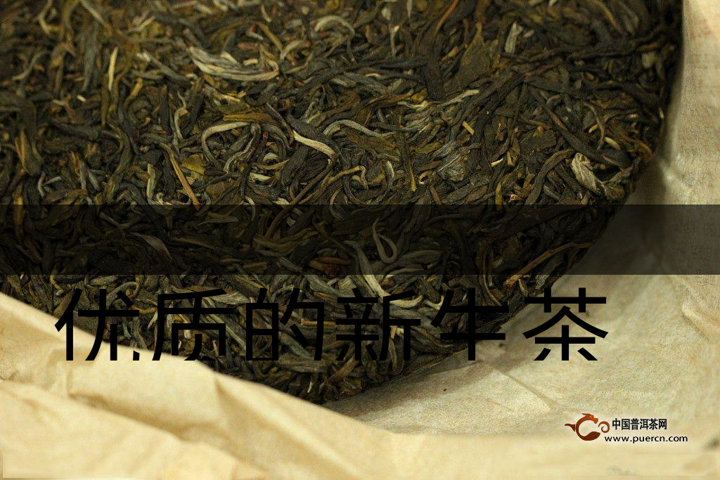 優(yōu)質(zhì)的新生茶是什么樣的？