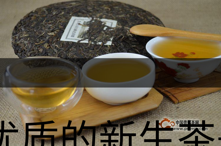 優(yōu)質(zhì)的新生茶是什么樣的？-1