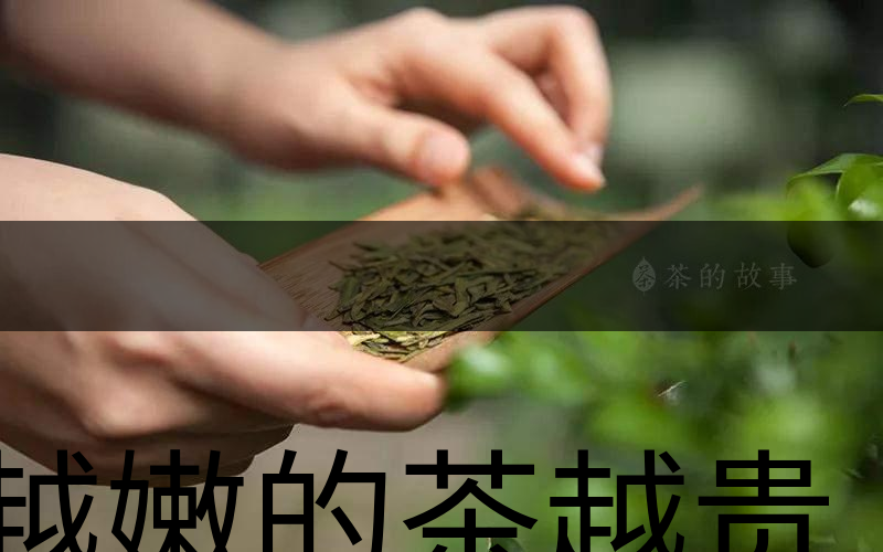 越嫩的茶越貴，但越貴的茶就越好嗎？