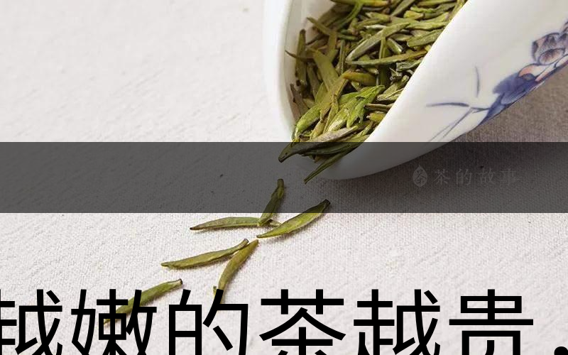 越嫩的茶越貴，但越貴的茶就越好嗎？-1