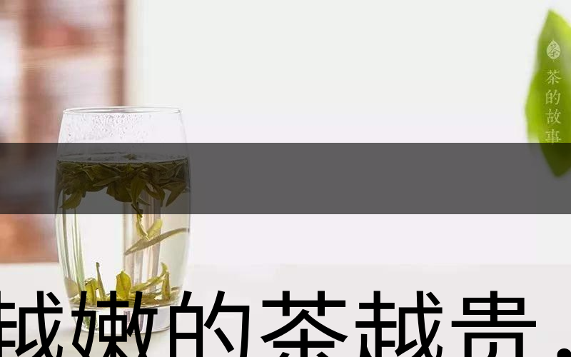 越嫩的茶越貴，但越貴的茶就越好嗎？-2