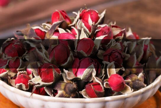 云南金邊玫瑰和平陰玫瑰哪個好