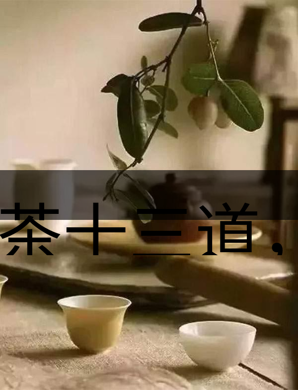 喝茶十三道，道道皆精華！-2
