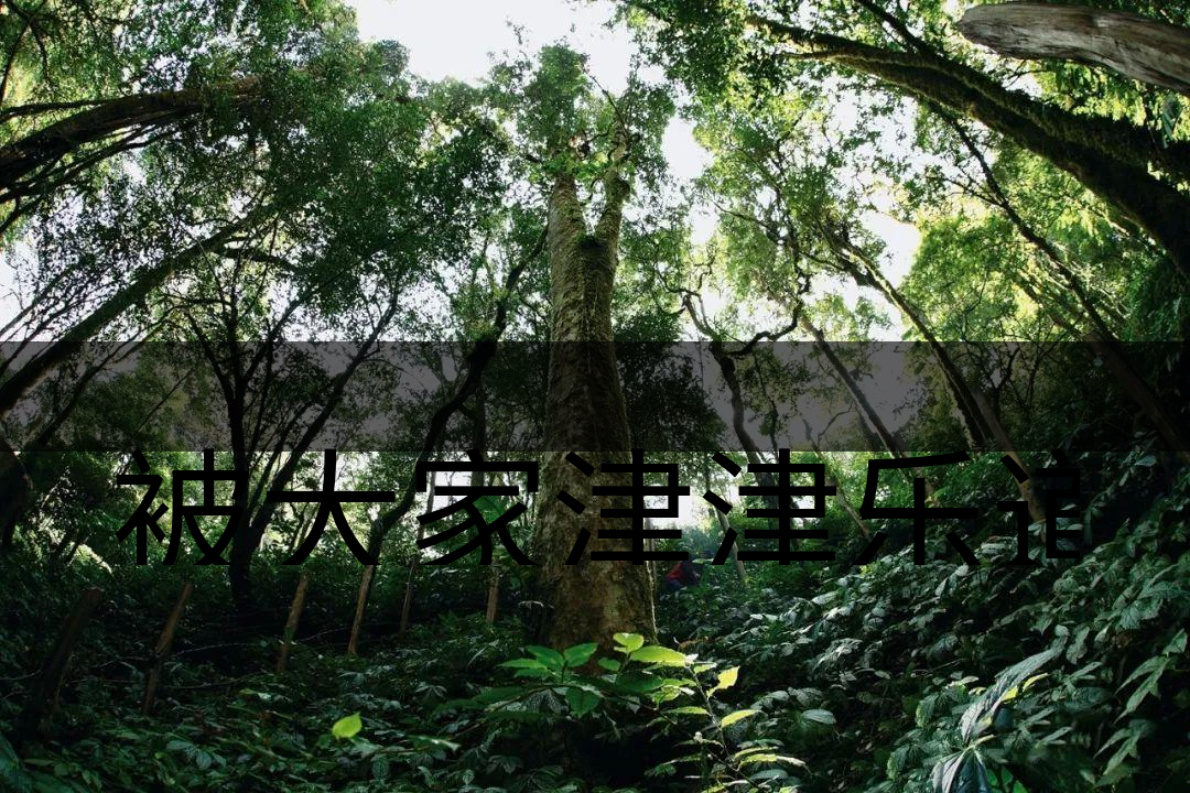 被大家津津樂(lè)道的森林茶，你知道是什么？-6-1