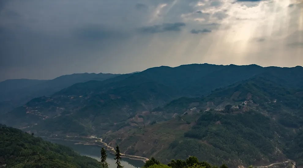 2021年磨烈：風(fēng)頭正勁的后起之秀，到底有何特點(diǎn)？