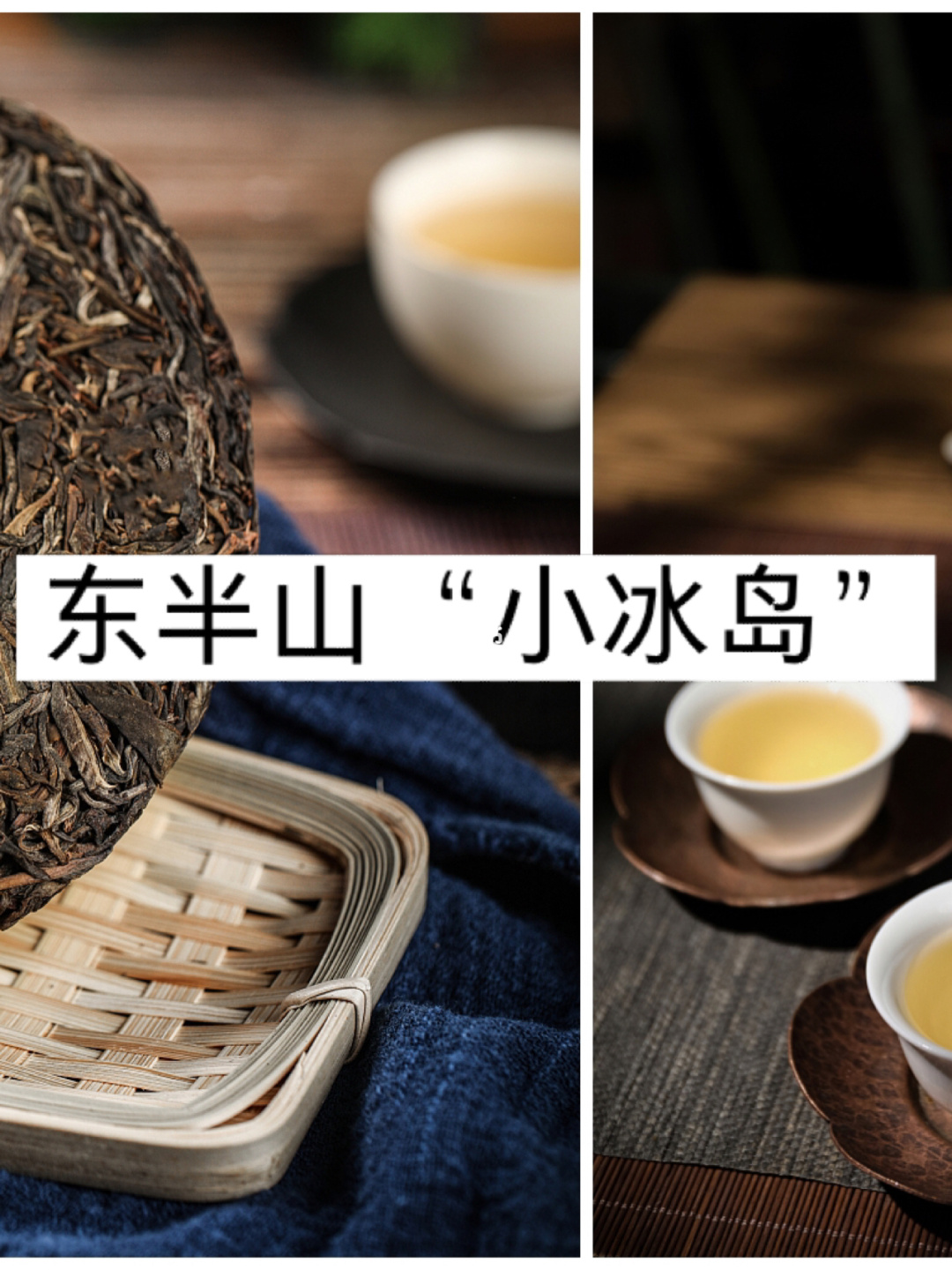 2021年正氣塘古樹(shù)秋茶品鑒!