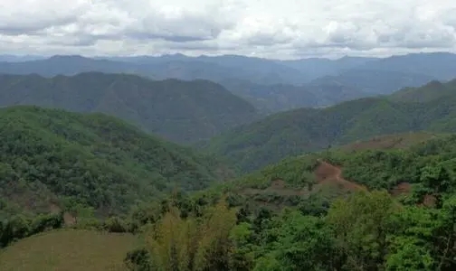 2021那罕古樹秋茶特點(diǎn)？