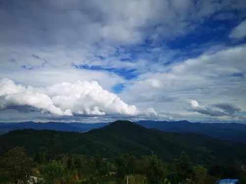 2021年那罕古樹(shù)秋茶口感？